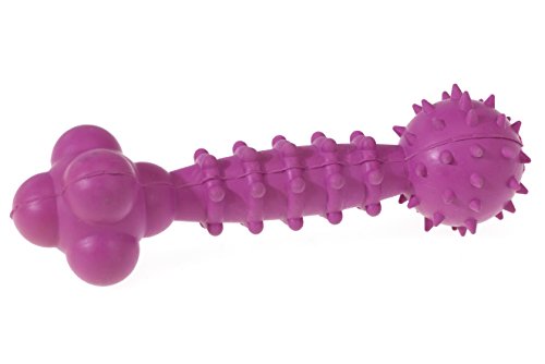 CHAPUIS SELLERIE Hantelspielzeug mit Glöckchen, Naturkautschuk, Rosa, Länge 16 cm, Größe M von CHAPUIS SELLERIE