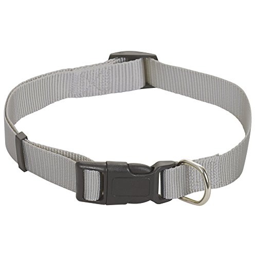 CHAPUIS SELLERIE SLA170 Verstellbares Hundehalsband - Nylongurt grau - Breite 25 mm - Länge 38-65 cm - Größe L von CHAPUIS SELLERIE