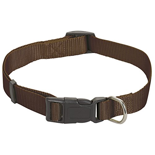 CHAPUIS SELLERIE SLA178 Verstellbares Hundehalsband - Nylongurt braun - Breite 25 mm - Länge 38-65 cm - Größe L von CHAPUIS SELLERIE