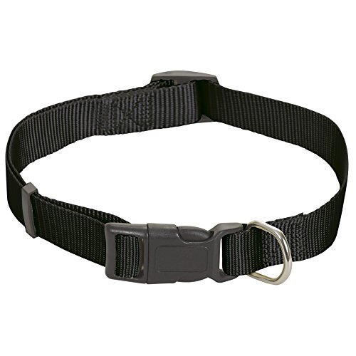 CHAPUIS SELLERIE SLA182 Verstellbares Hundehalsband - Nylongurt schwarz - Breite 25 mm - Länge 38-65 cm - Größe L von CHAPUIS SELLERIE