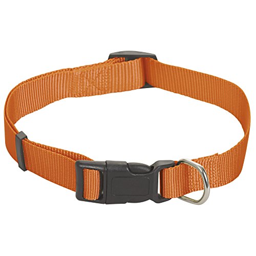 CHAPUIS SELLERIE SLA183 Verstellbares Hunde- und Katzenhalsband - Nylongurt orange - Breite 10 mm - Länge 20-35 cm - Größe XS von CHAPUIS SELLERIE