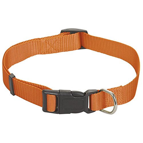 CHAPUIS SELLERIE SLA185 Verstellbares Hundehalsband - Nylongurt orange - Breite 20 mm - Länge 35-60 cm - Größe M von CHAPUIS SELLERIE