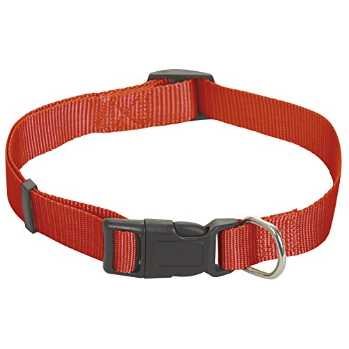 CHAPUIS SELLERIE SLA189 Verstellbares Hundehalsband - Nylongurt rot - Breite 20 mm - Länge 35-60 cm - Größe M von CHAPUIS SELLERIE