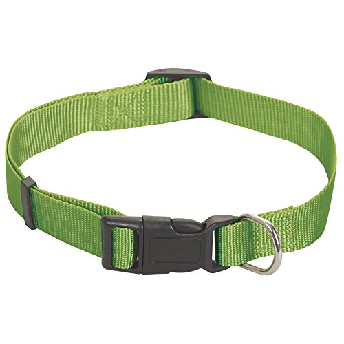 CHAPUIS SELLERIE SLA192 Verstellbares Hundehalsband - Nylongurt grün - Breite 15 mm - Länge 35-50 cm - Größe S von CHAPUIS SELLERIE