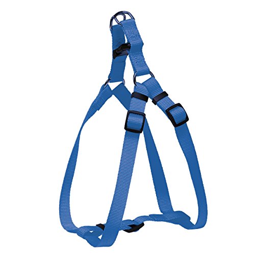 CHAPUIS SELLERIE SLA204 Verstellbares Hundegeschirr - Nylongurt blau - Breite 15 mm - Maße 35-50 cm - Größe S von CHAPUIS SELLERIE