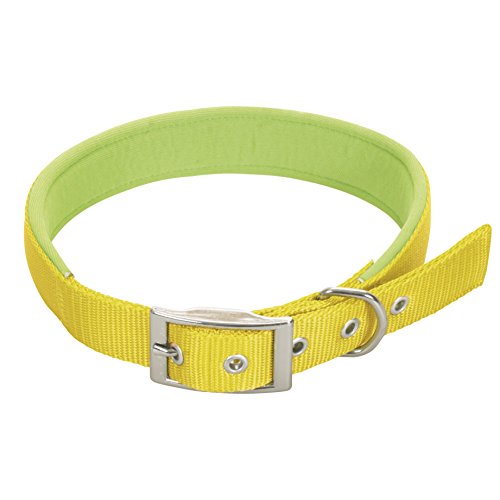 CHAPUIS SELLERIE SLA258 Hundehalsband - Komfort-Nylongurt gelb - Breite 20 mm - Länge 45 cm - Größe M von CHAPUIS SELLERIE