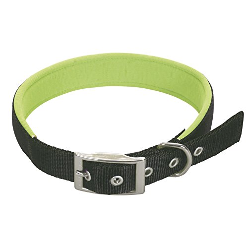 CHAPUIS SELLERIE SLA261 Hundehalsband - Komfort-Nylongurt schwarz - Breite 20 mm - Länge 45 cm - Größe M von CHAPUIS SELLERIE