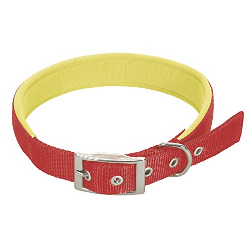 CHAPUIS SELLERIE SLA266 Hundehalsband - Komfort-Nylongurt rot - Breite 15 mm - Länge 35 cm - Größe S von CHAPUIS SELLERIE