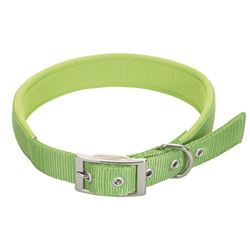 CHAPUIS SELLERIE SLA269 Hundehalsband - Komfort-Nylongurt grün - Breite 15 mm - Länge 35 cm - Größe S CHAPUIS SELLERIE SLA269 Hundehalsband - Komfort-Nylongurt grün - Breite 15 mm - Länge 35 cm - Größe S von CHAPUIS SELLERIE