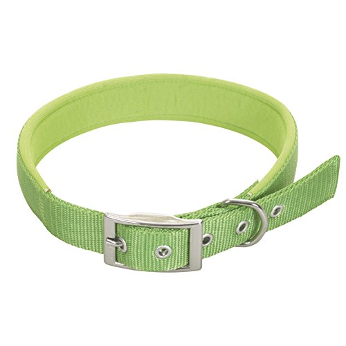 CHAPUIS SELLERIE SLA269 Hundehalsband - Komfort-Nylongurt grün - Breite 15 mm - Länge 35 cm - Größe S von CHAPUIS SELLERIE