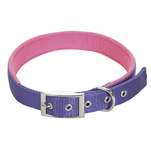 CHAPUIS SELLERIE SLA272 Hundehalsband - Komfort-Nylongurt violett - Breite 15 mm - Länge 35 cm - Größe S von CHAPUIS SELLERIE