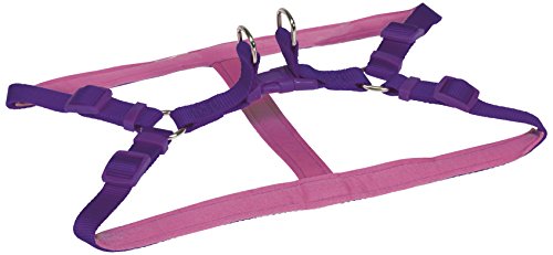 CHAPUIS SELLERIE SLA292 Verstellbares Hundegeschirr - Komfort-Nylongurt violett - Breite 25 mm - Maße 70-90 cm - Größe S von CHAPUIS SELLERIE