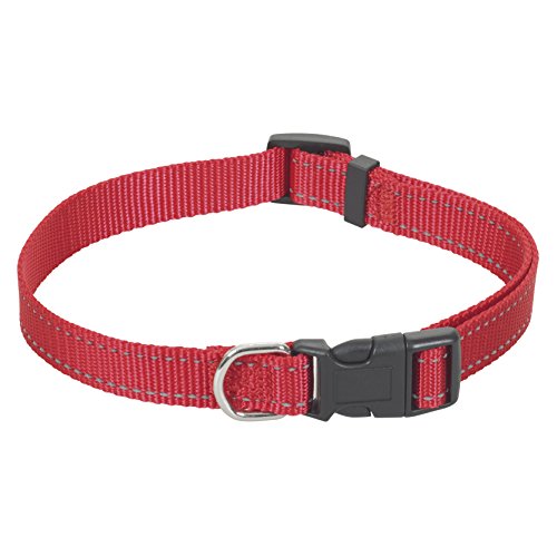 CHAPUIS SELLERIE SLA332 Reflektierendes verstellbares Hundehalsband - Verstärkter Nylongurt rot - Breite 25 mm - Länge 38-65 cm - Größe L von CHAPUIS SELLERIE