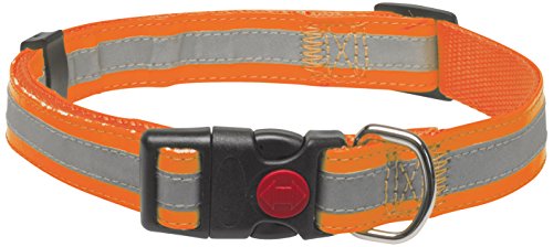 CHAPUIS SELLERIE SLA354 Reflektierendes verstellbares Hundehalsband - Gurt in Leder-Imitat orange - Breite 25 mm - Länge 38-65 cm - Größe L von CHAPUIS SELLERIE