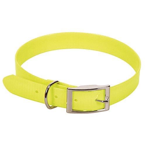 CHAPUIS SELLERIE SLA371 Reflektierendes Hundehalsband - PVC-Gurt gelb - Breite 15 mm, Länge 35 cm, Größe S von CHAPUIS SELLERIE