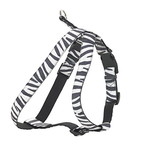 CHAPUIS SELLERIE SLA390 Verstellbares Hunde- und Katzengeschirr - Velours-Gurt Zebra-Look - Breite 10 mm - Maße 20-35 cm - Größe XS von CHAPUIS SELLERIE