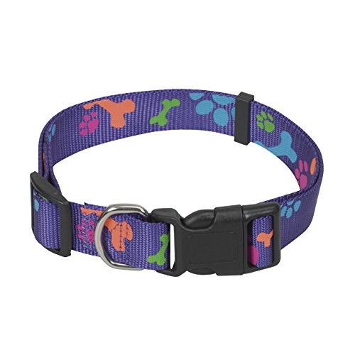 CHAPUIS SELLERIE SLA476 Verstellbares Hundehalsband - Nylongurt mit violetten Tatzen - Breite 15 mm - Länge 30-45 cm - Größe S von CHAPUIS SELLERIE