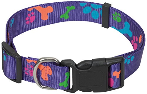 CHAPUIS SELLERIE SLA478 Verstellbares Hundehalsband - Nylongurt mit violetten Tatzen - Breite 25 mm - Länge 46-66 cm - Größe XL von CHAPUIS SELLERIE