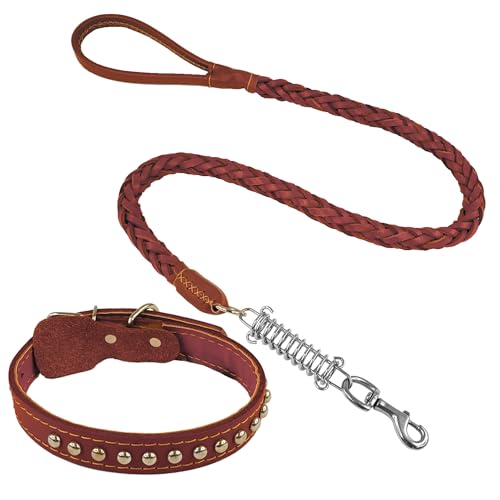 Halsband und Leine aus regeneriertem Leder, geflochtenes Design mit Stoßdämpfer, robust und elegant, ideal für Training und Spaziergänge (Braun, S) von CHECKBO