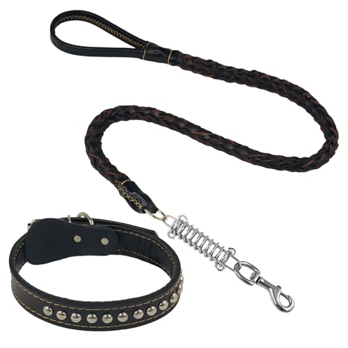 Halsband und Leine aus regeneriertem Leder, geflochtenes Design mit Stoßdämpfer, robust und elegant, ideal für Training und Spaziergänge (Schwarz, S) von CHECKBO