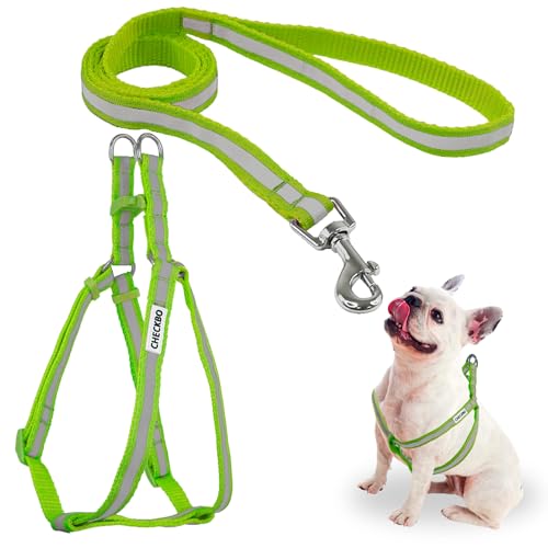 Reflektierendes Hundegeschirr – verstellbar, robust und mit Schnellverschluss-Schnallen (Grün, S) von CHECKBO