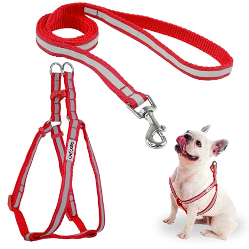 Reflektierendes Hundegeschirr – verstellbar, robust und mit Schnellverschluss-Schnallen (rot, S) von CHECKBO