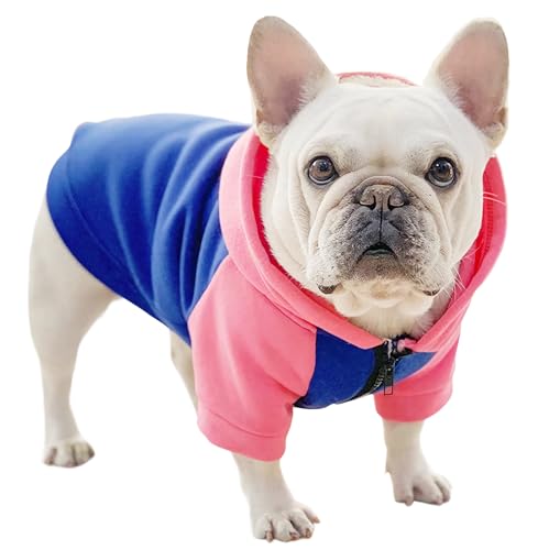 CHEERTAILS Frenchie Hundepullover für mittelgroße Hunde, Mädchen, Jungen, französische Bulldogge, farbblockiert, Hunde-Sweatshirt, Hunde-Kapuzenpullover, mittelgroße Hunde, Reißverschluss, von CHEERTAILS