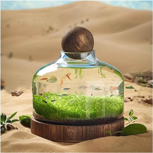 Aquarium Aquarium Glasflasche Ökologische Kultur Mikrolandschaft Selbstzirkulierendes kleines Pflanzenbecken mit Holzsockel Desktop-Ornamente von CHEKZ