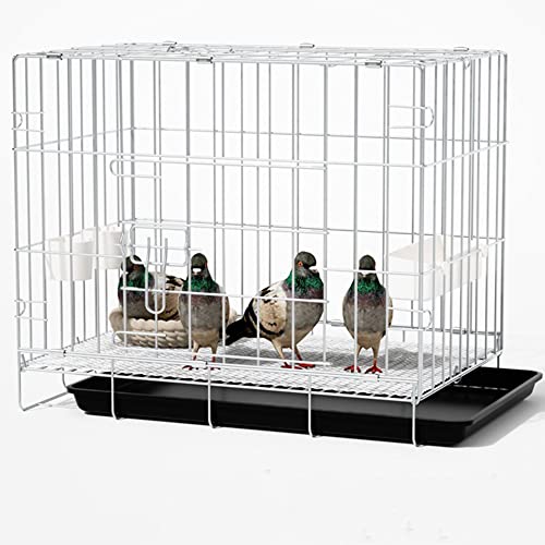 Vogelkäfig, Vogelvoliere Faltbarer Taubenkäfig, Oberteil zum Öffnen,mit Einsteckschloss, Fluchtschutz, mit Zubehör, 100 x 60 x 70 cm, für 1-8 Tauben, Sittich Kanarienvögel (Color : Silver-60x42x50 cm Vogelkäfig, Vogelvoliere Faltbarer Taubenkäfig, Oberteil zum Öffnen,mit Einsteckschloss, Fluchtschutz, mit Zubehör, 100 x 60 x 70 cm, für 1-8 Tauben, Sittich Kanarienvögel (Color : Silver-60x42x50 cm von CHEKZ