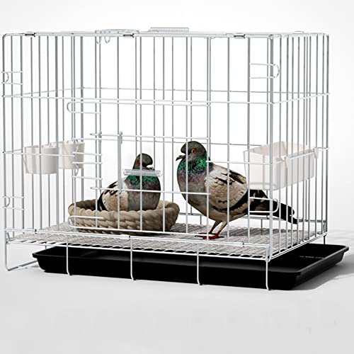 Vogelkäfig, Vogelvoliere Faltbarer Taubenkäfig, Oberteil zum Öffnen,mit Einsteckschloss, Fluchtschutz, mit Zubehör, 100 x 60 x 70 cm, für 1-8 Tauben, Sittich Kanarienvögel (Color : Silver-50x35x42 cm Vogelkäfig, Vogelvoliere Faltbarer Taubenkäfig, Oberteil zum Öffnen,mit Einsteckschloss, Fluchtschutz, mit Zubehör, 100 x 60 x 70 cm, für 1-8 Tauben, Sittich Kanarienvögel (Color : Silver-50x35x42 cm von CHEKZ