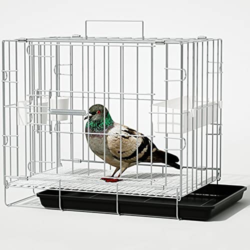 Vogelkäfig, Vogelvoliere Faltbarer Taubenkäfig, Oberteil zum Öffnen,mit Einsteckschloss, Fluchtschutz, mit Zubehör, 100 x 60 x 70 cm, für 1-8 Tauben, Sittich Kanarienvögel (Color : Silver-35x26x33 cm Vogelkäfig, Vogelvoliere Faltbarer Taubenkäfig, Oberteil zum Öffnen,mit Einsteckschloss, Fluchtschutz, mit Zubehör, 100 x 60 x 70 cm, für 1-8 Tauben, Sittich Kanarienvögel (Color : Silver-35x26x33 cm von CHEKZ