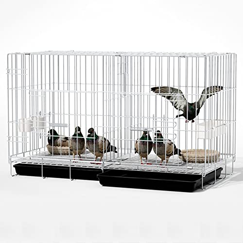 Vogelkäfig, Vogelvoliere Faltbarer Taubenkäfig, Oberteil zum Öffnen,mit Einsteckschloss, Fluchtschutz, mit Zubehör, 100 x 60 x 70 cm, für 1-8 Tauben, Sittich Kanarienvögel (Color : Silver-80x40x47 cm Vogelkäfig, Vogelvoliere Faltbarer Taubenkäfig, Oberteil zum Öffnen,mit Einsteckschloss, Fluchtschutz, mit Zubehör, 100 x 60 x 70 cm, für 1-8 Tauben, Sittich Kanarienvögel (Color : Silver-80x40x47 cm von CHEKZ