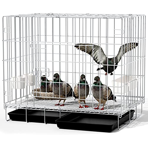 Vogelkäfig, Vogelvoliere Faltbarer Taubenkäfig, Oberteil zum Öffnen,mit Einsteckschloss, Fluchtschutz, mit Zubehör, 100 x 60 x 70 cm, für 1-8 Tauben, Sittich Kanarienvögel (Color : Silver-70x50x60 cm Vogelkäfig, Vogelvoliere Faltbarer Taubenkäfig, Oberteil zum Öffnen,mit Einsteckschloss, Fluchtschutz, mit Zubehör, 100 x 60 x 70 cm, für 1-8 Tauben, Sittich Kanarienvögel (Color : Silver-70x50x60 cm von CHEKZ