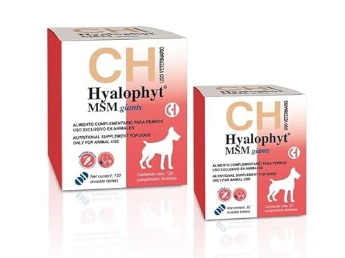 CHEMICAL IBERICA Hyalophyt MSM Giants Kondroprotektor für große Hunde von Riesenrassen und Gelenk-, Hüft- und Knorpelprotektor 120 CP CHEMICAL IBERICA Hyalophyt MSM Giants Kondroprotektor für große Hunde von Riesenrassen und Gelenk-, Hüft- und Knorpelprotektor 120 CP von CHEMICAL IBERICA