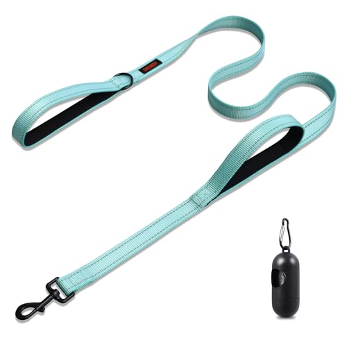 Strapazierfähige Hundeleine mit doppeltem Griff, reflektierende Trainingsleine für mittelgroße bis große Rassen, 152 cm, Seeblau von CHENEDY
