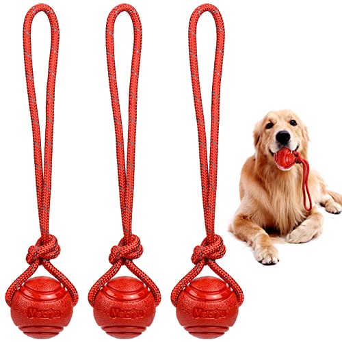 CHENEVER 3 Stück Wurfball Hund,Haustier Ball Spielzeug mit Seil,Elastische Hundespielzeug Ball ,Welpenspielzeug Hund,Naturgummiball Seil für Haustiere Hunde Ausbildung Spielen Übung,Rot von CHENEVER