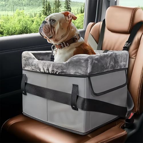 CHENGDAN Haustier-Autositze, Hunde- und Katzen-Outdoor-Automatten, staubdicht, faltbar, tragbarer Haustier-Autositz, Hundebetten und Katzenbetten sind geeignet für kleine Hunde, Katzen und Tiere CHENGDAN Haustier-Autositze, Hunde- und Katzen-Outdoor-Automatten, staubdicht, faltbar, tragbarer Haustier-Autositz, Hundebetten und Katzenbetten sind geeignet für kleine Hunde, Katzen und Tiere von CHENGDAN