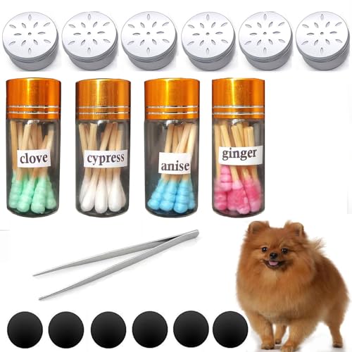 Hundeduft-Starter-Set, erhältlich in Anis, Birke, Nelkenvetiver-Geschmacksduft, Nasenarbeit, Hundeduft, reine Öltupfer (4 Tupfer + 6 magnetische Box) von CHENGXINWENHUA