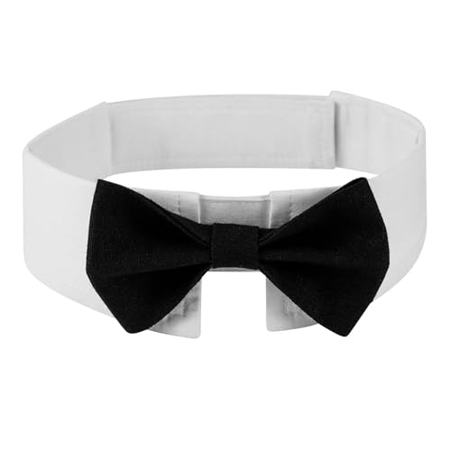 CHENGZI Haustier Fliege Halsband für Katzen & Hunde (Black-S) von CHENGZI