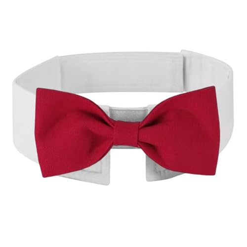 CHENGZI Haustier Fliege Halsband für Katzen & Hunde (Red-L) von CHENGZI