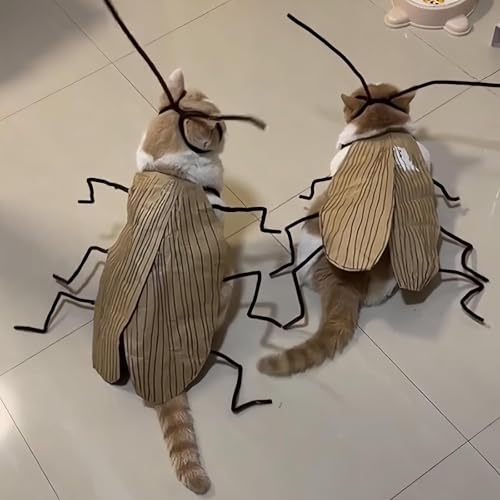 2 Stück Cat Cockroach Clothing DIY Kit, Katze Kakerlake Kleidung DIY Kit, Lustige Katzenkostüm Zubehör, DIY Katze Kleidung, Niedliche Hundekleidung Geschenk für Haustierliebhaber 2 Stück Cat Cockroach Clothing DIY Kit, Katze Kakerlake Kleidung DIY Kit, Lustige Katzenkostüm Zubehör, DIY Katze Kleidung, Niedliche Hundekleidung Geschenk für Haustierliebhaber von CHENRI