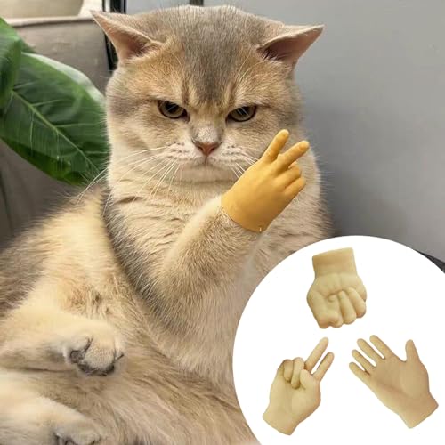 3 Stück Lustige Katze Handschuh Spielzeug, Lustige Katze Massage Handschuhe, Mini Kleine Hände Fingerpuppen, Interaktives Katzenspielzeug, Gummi Lustige Minihände, Mini Hände für Katzen und Hunde von CHENRI