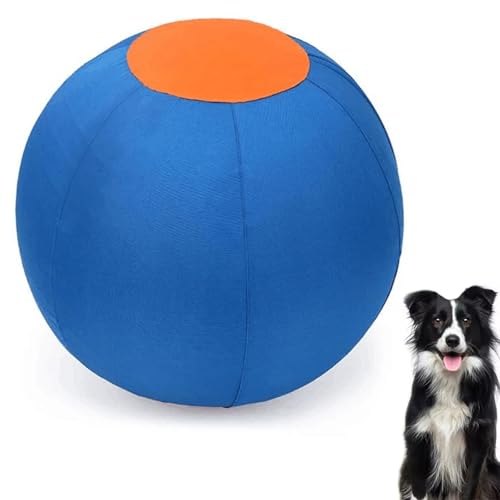 CHENRI Pet Teeth Grinding Inflatable Training Ball, 45cm Große Hundespielball, Pferdebälle, Herding Ball Hüteball für Hunde, Aufblasbarer Trainingsball für Haustiere Outdoor (B) von CHENRI