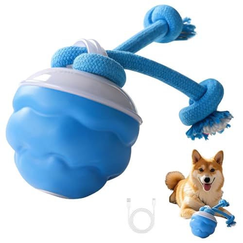 CHENRI Yobensun Dog Toy, Automatischer Hundespaziergänger Interaktives, unzerstörbares Wackelballspielzeug, Interaktiver Hundeball mit 3 Modi, Wiederaufladbare Intelligentes Hundespielzeug für Hunde CHENRI Yobensun Dog Toy, Automatischer Hundespaziergänger Interaktives, unzerstörbares Wackelballspielzeug, Interaktiver Hundeball mit 3 Modi, Wiederaufladbare Intelligentes Hundespielzeug für Hunde von CHENRI