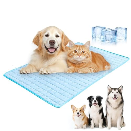 Dog Cooling Mat, 110x80cm Kühlmatte für Hunde Selbst Kühlende Hundematte Sommer Kühlkissen, Waschbare Kühlmatten für Haustiere, Faltbare Sommer Kühldecke für kleine große Hunde und Katzen (90*60CM) Dog Cooling Mat, 110x80cm Kühlmatte für Hunde Selbst Kühlende Hundematte Sommer Kühlkissen, Waschbare Kühlmatten für Haustiere, Faltbare Sommer Kühldecke für kleine große Hunde und Katzen (90*60CM) von CHENRI