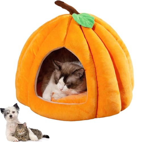 Pumpkin Cat Bed, Kürbis-Katzenbett, 2025 Niedliche Katzenhöhle in Kürbisform, Warme Katzenhöhle Katzenhaus mit abnehmbarem Kissen, Plüsch-Schlafbett für Katzen Hunde Weihnachten Halloween (Orange, M) Pumpkin Cat Bed, Kürbis-Katzenbett, 2025 Niedliche Katzenhöhle in Kürbisform, Warme Katzenhöhle Katzenhaus mit abnehmbarem Kissen, Plüsch-Schlafbett für Katzen Hunde Weihnachten Halloween (Orange, M) von CHENRI