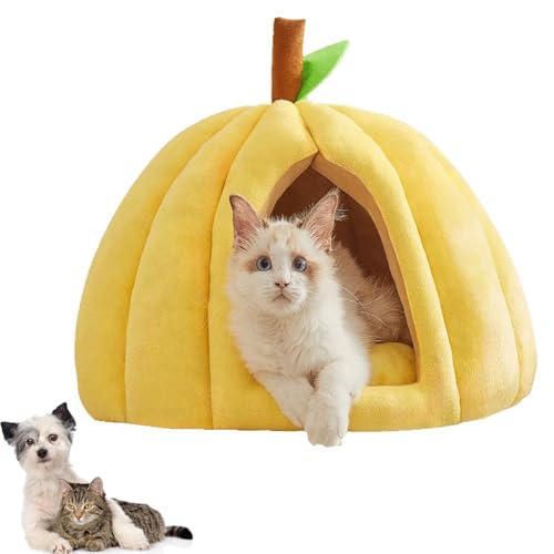 Pumpkin Cat Bed, Kürbis-Katzenbett, 2025 Niedliche Katzenhöhle in Kürbisform, Warme Katzenhöhle Katzenhaus mit abnehmbarem Kissen, Plüsch-Schlafbett für Katzen Hunde Weihnachten Halloween (Gelb, L) Pumpkin Cat Bed, Kürbis-Katzenbett, 2025 Niedliche Katzenhöhle in Kürbisform, Warme Katzenhöhle Katzenhaus mit abnehmbarem Kissen, Plüsch-Schlafbett für Katzen Hunde Weihnachten Halloween (Gelb, L) von CHENRI