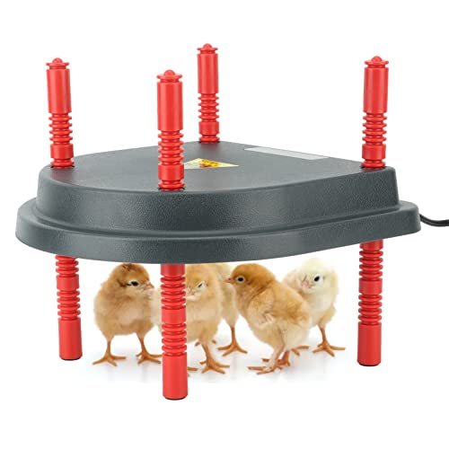 CHEOTIME Chick Heater Brooder Platte Verstellbare Höhen 13W Küken Brooder Heizplatte Hähnchen Wärmer für Baby Huhn Entlein von CHEOTIME