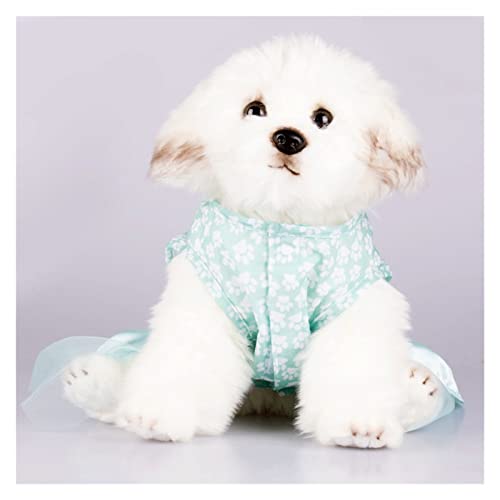 Kleiner Hund Haustierkleidung Kleid Große Polka Dot Prinzessin Kleid Frühlings- und Sommerkleid Kostüm (Color : B, Size : L Code) (cm Code) von CHEWO