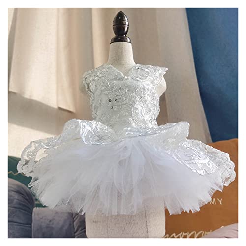 Tutu Pet Dress Party Hochzeitskleid Rock Spitze Hundezubehör Hochzeitskleid Hundekleidung (Color : A, Size : XLcode) (A XScode) von CHEWO